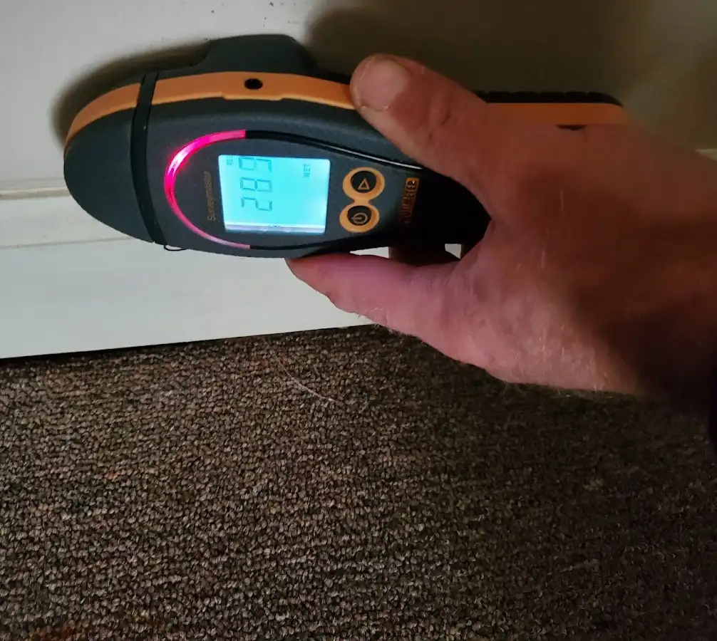 Moisture detection at baseboard during Sewage Cleanup & Sanitation in Antelope